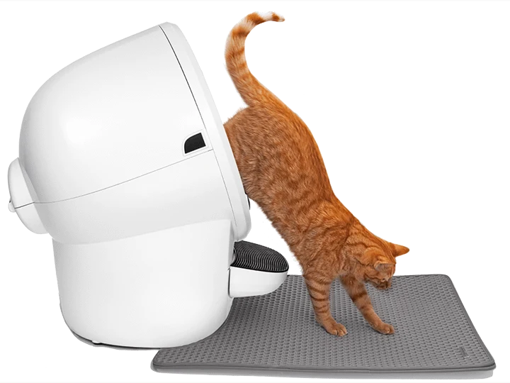 White Litter-Robot 4 automatic litter box with a ginger cat exiting at the side